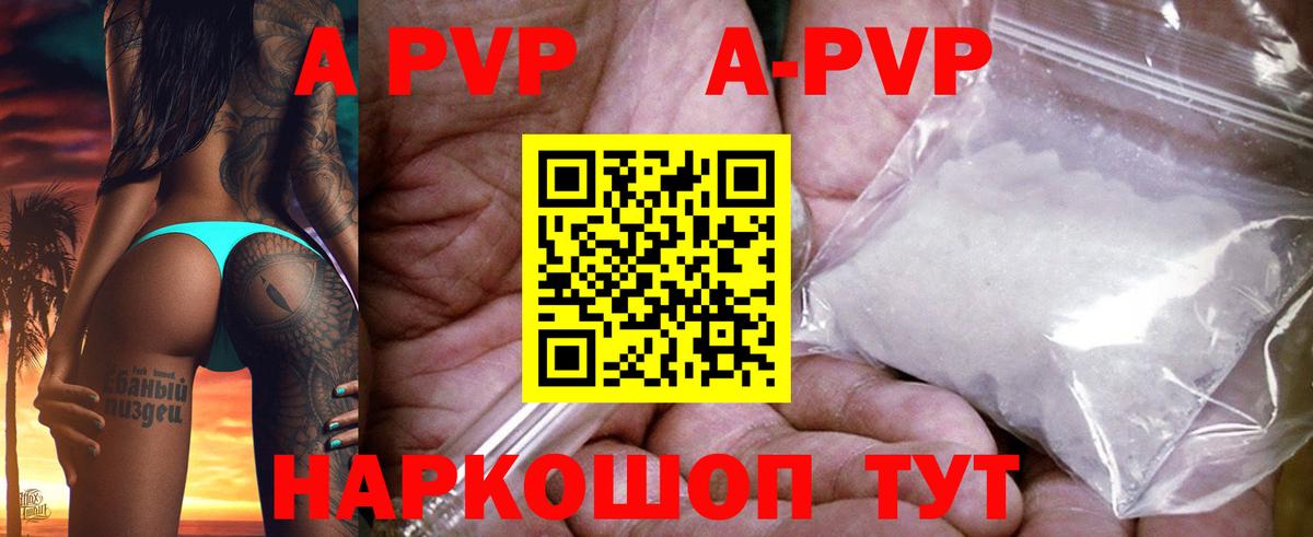 Alfa_PVP СК Нижний Новгород