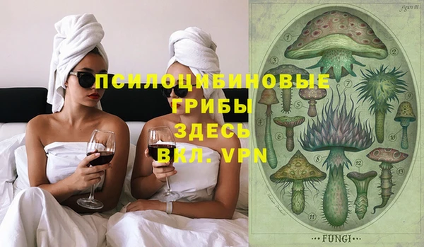 дживик Алексин