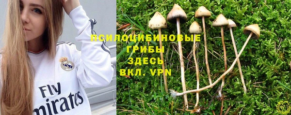 каннабис Алзамай