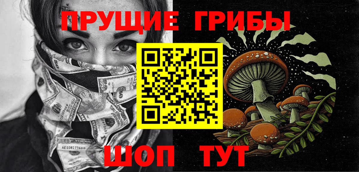 Галлюциногенные грибы прущие грибы  где купить наркоту  Нижний Новгород  Вход с VPN 